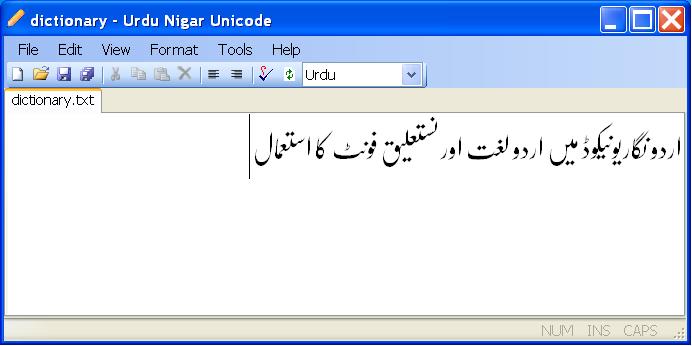 Asian Urdu Software 100