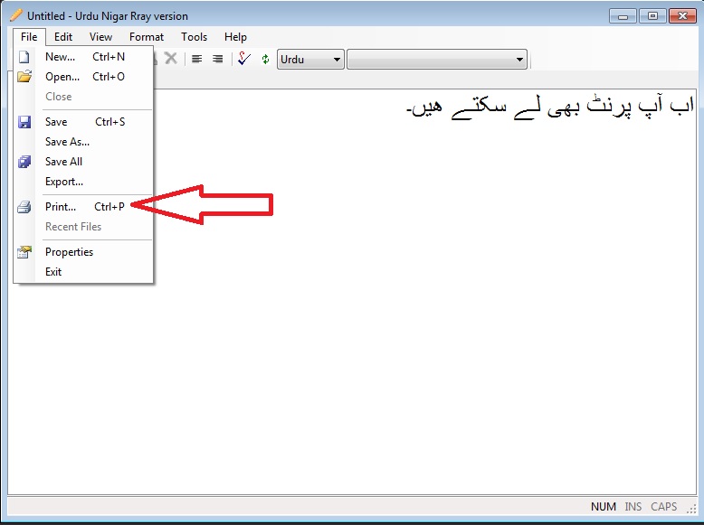 Printing Urdu Text