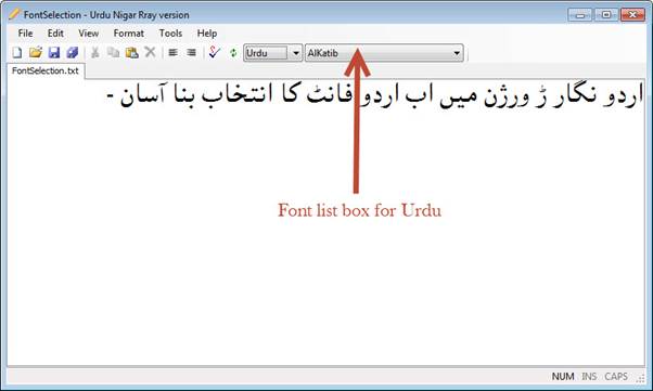 Urdu Nigar Rray version screenshot